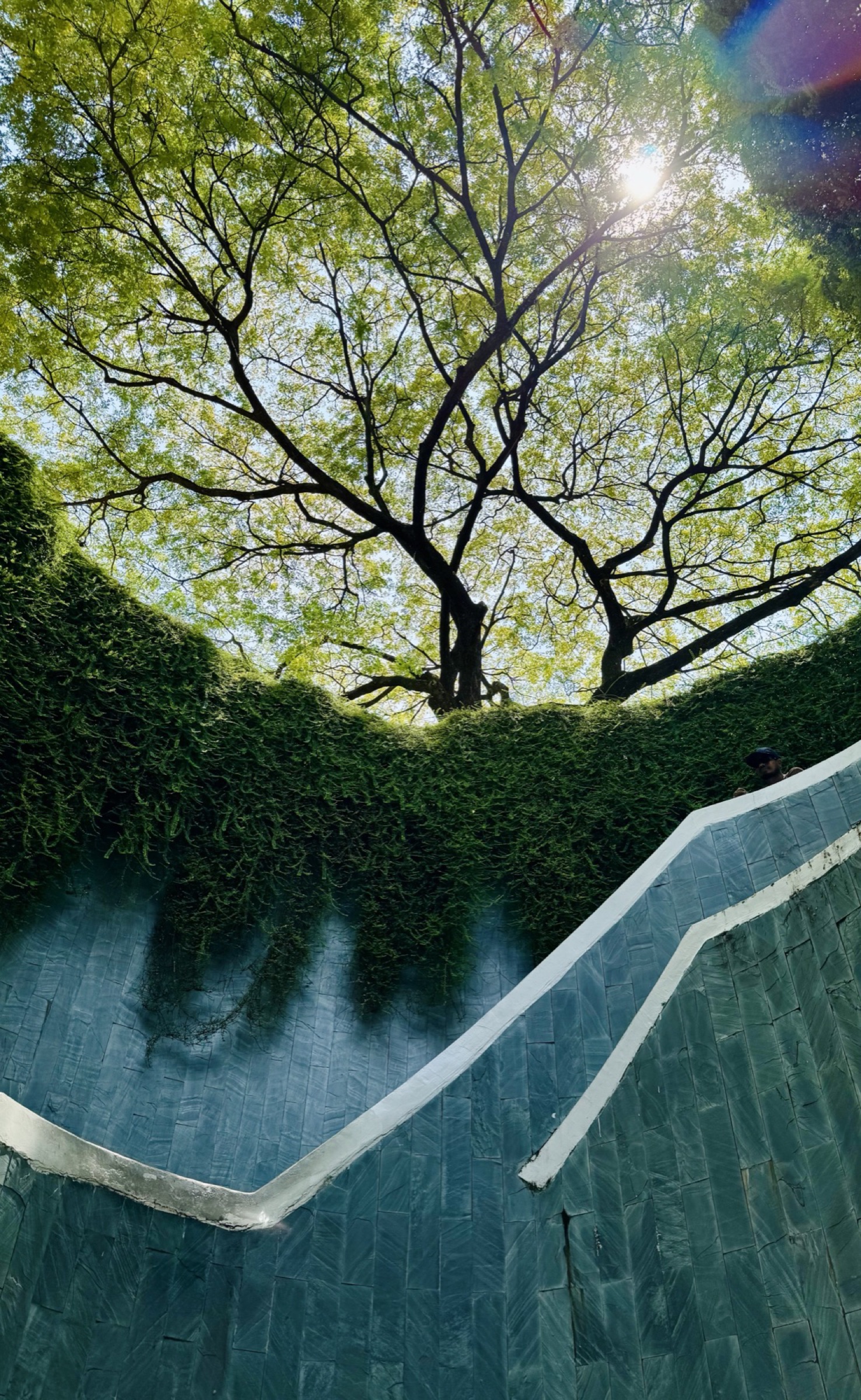 Singapore Reading Week